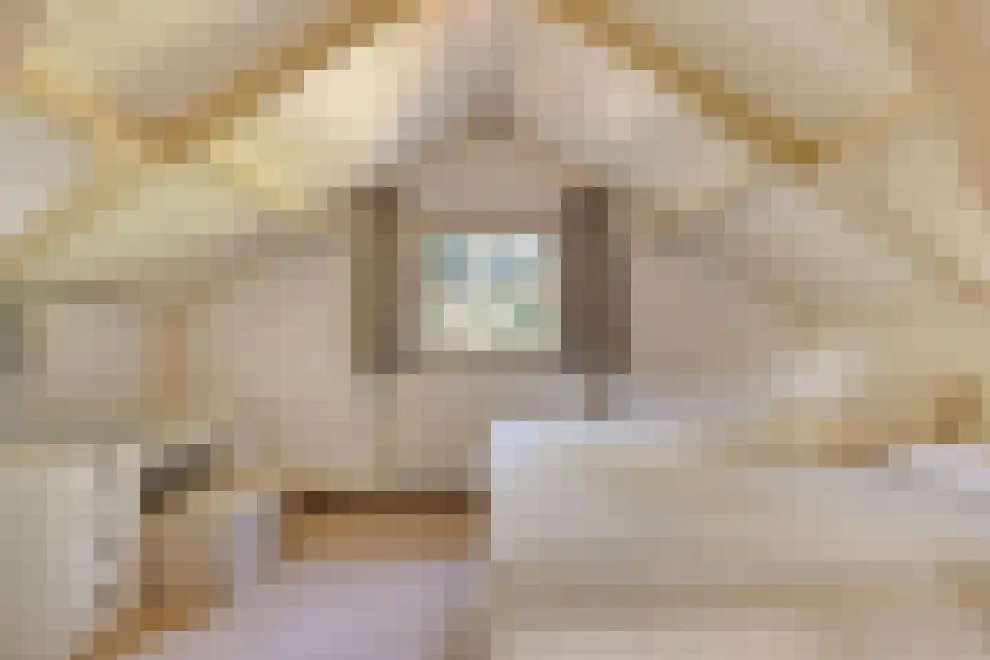 De Coevering 4 Veghel thumbnail 37