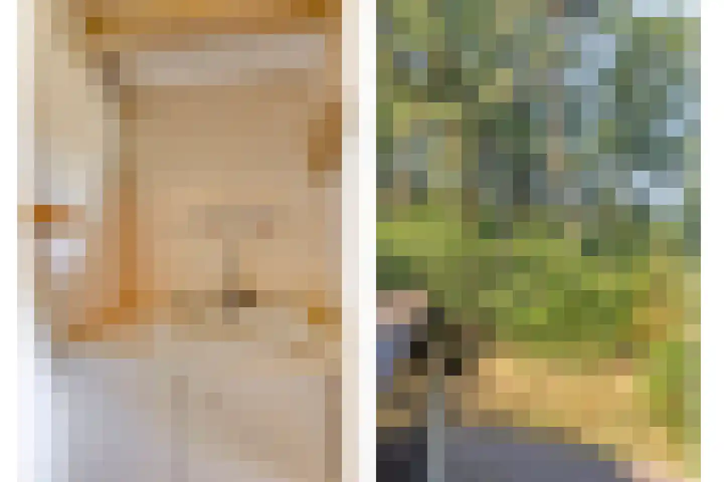 De Coevering 4 Veghel thumbnail 39