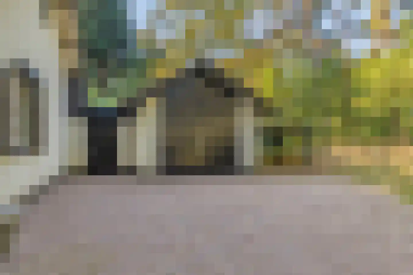 De Coevering 4 Veghel thumbnail 4