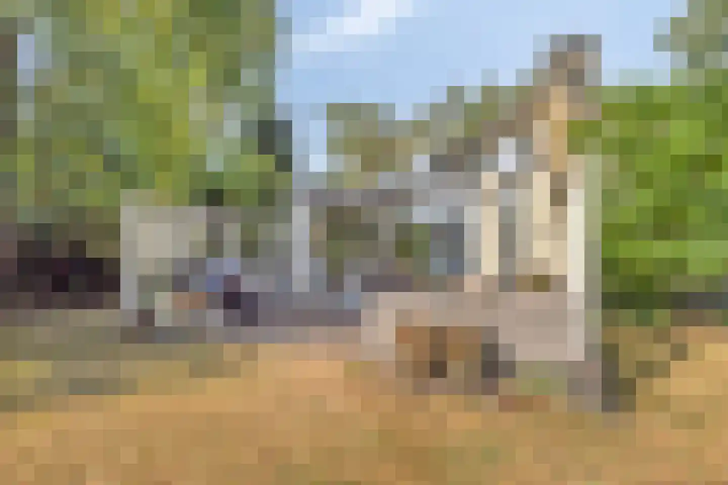 De Coevering 4 Veghel thumbnail 41
