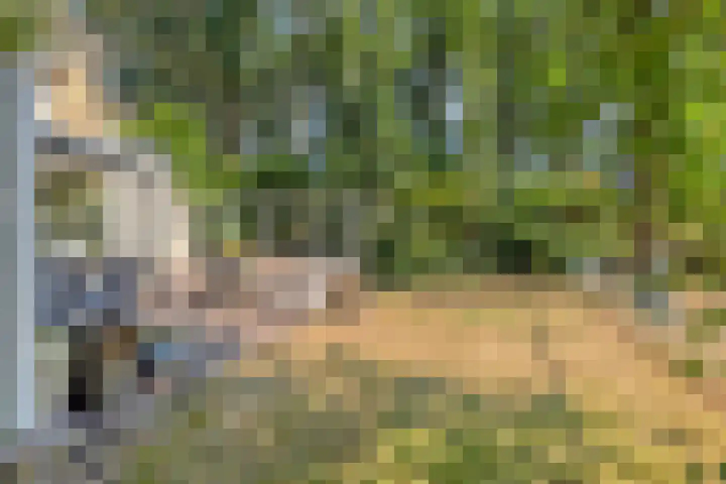 De Coevering 4 Veghel thumbnail 42