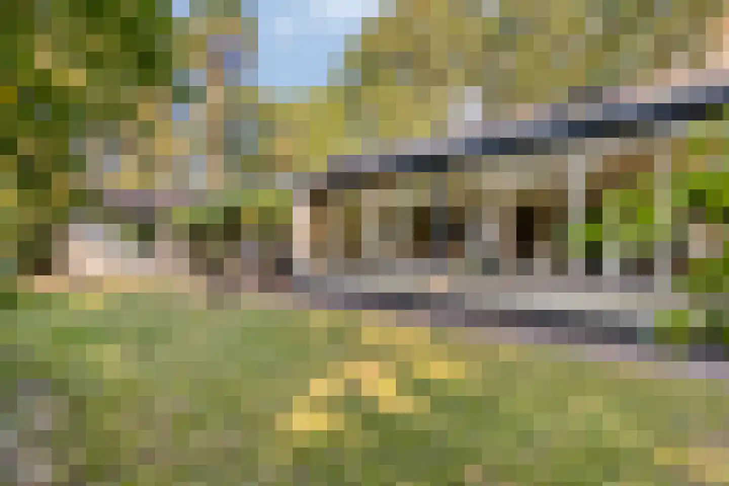 De Coevering 4 Veghel thumbnail 43