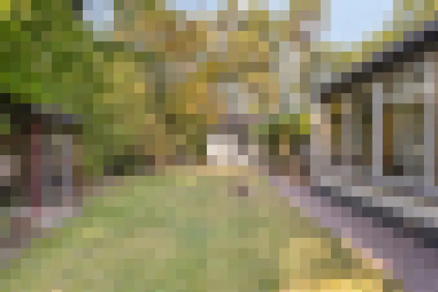 De Coevering 4 Veghel thumbnail 44