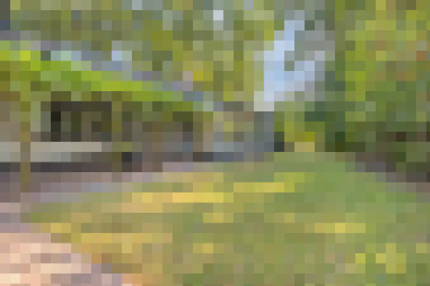 De Coevering 4 Veghel thumbnail 45