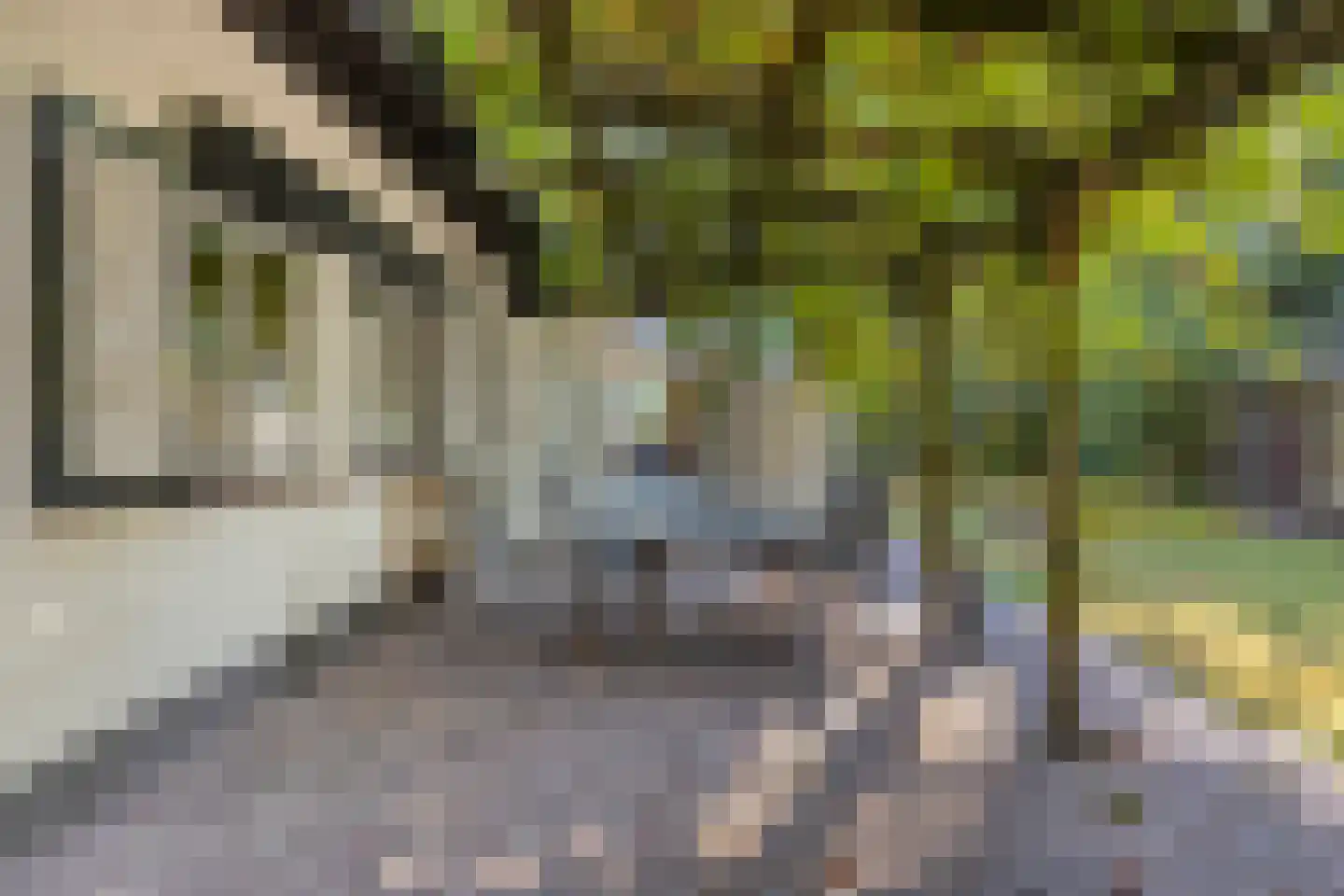 De Coevering 4 Veghel thumbnail 46