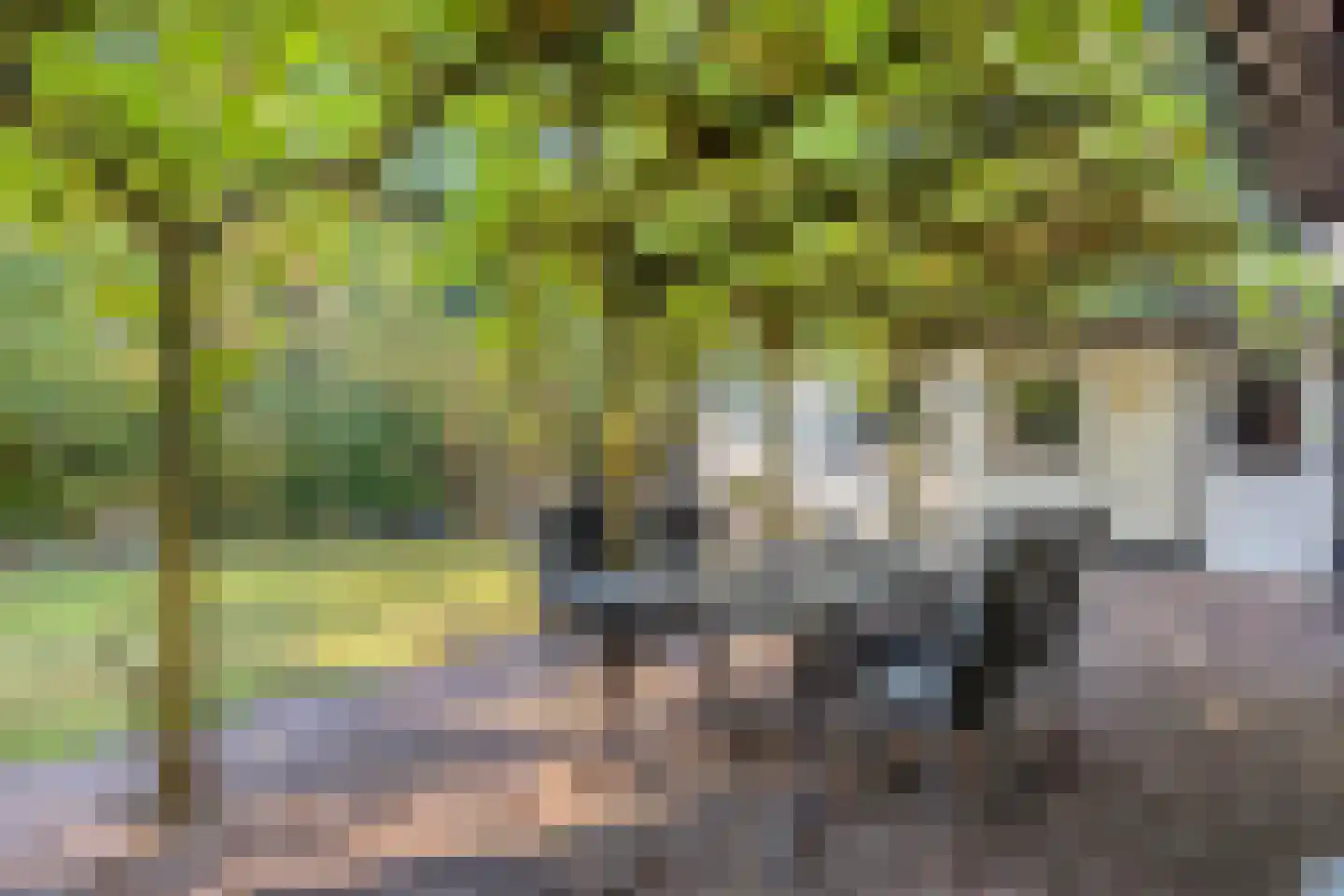 De Coevering 4 Veghel thumbnail 47