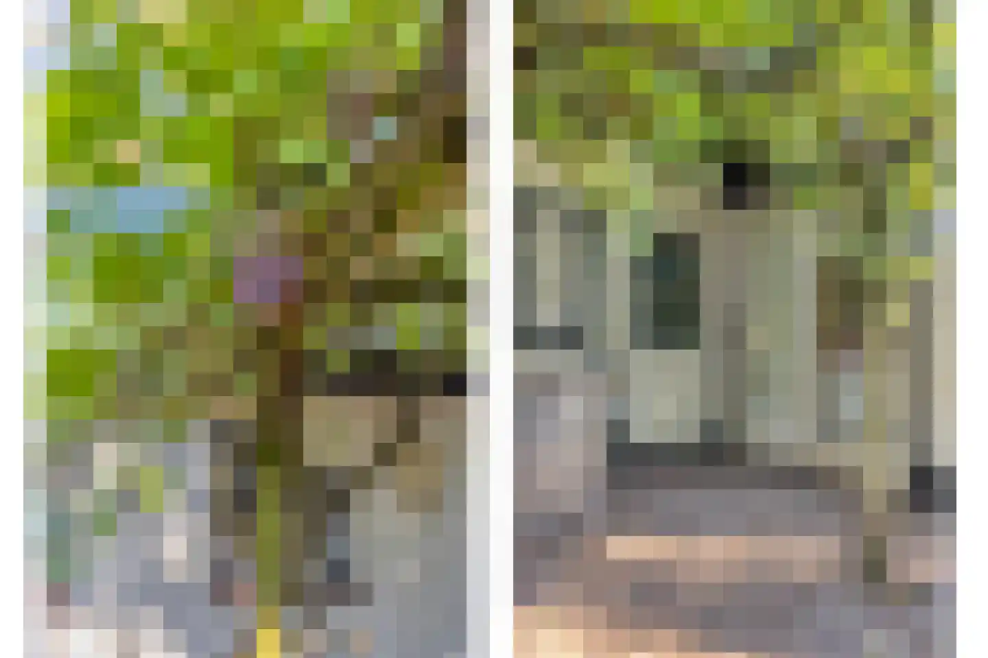 De Coevering 4 Veghel thumbnail 48