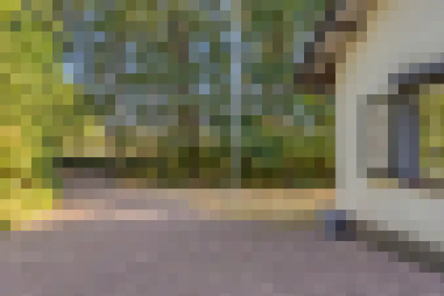 De Coevering 4 Veghel thumbnail 5