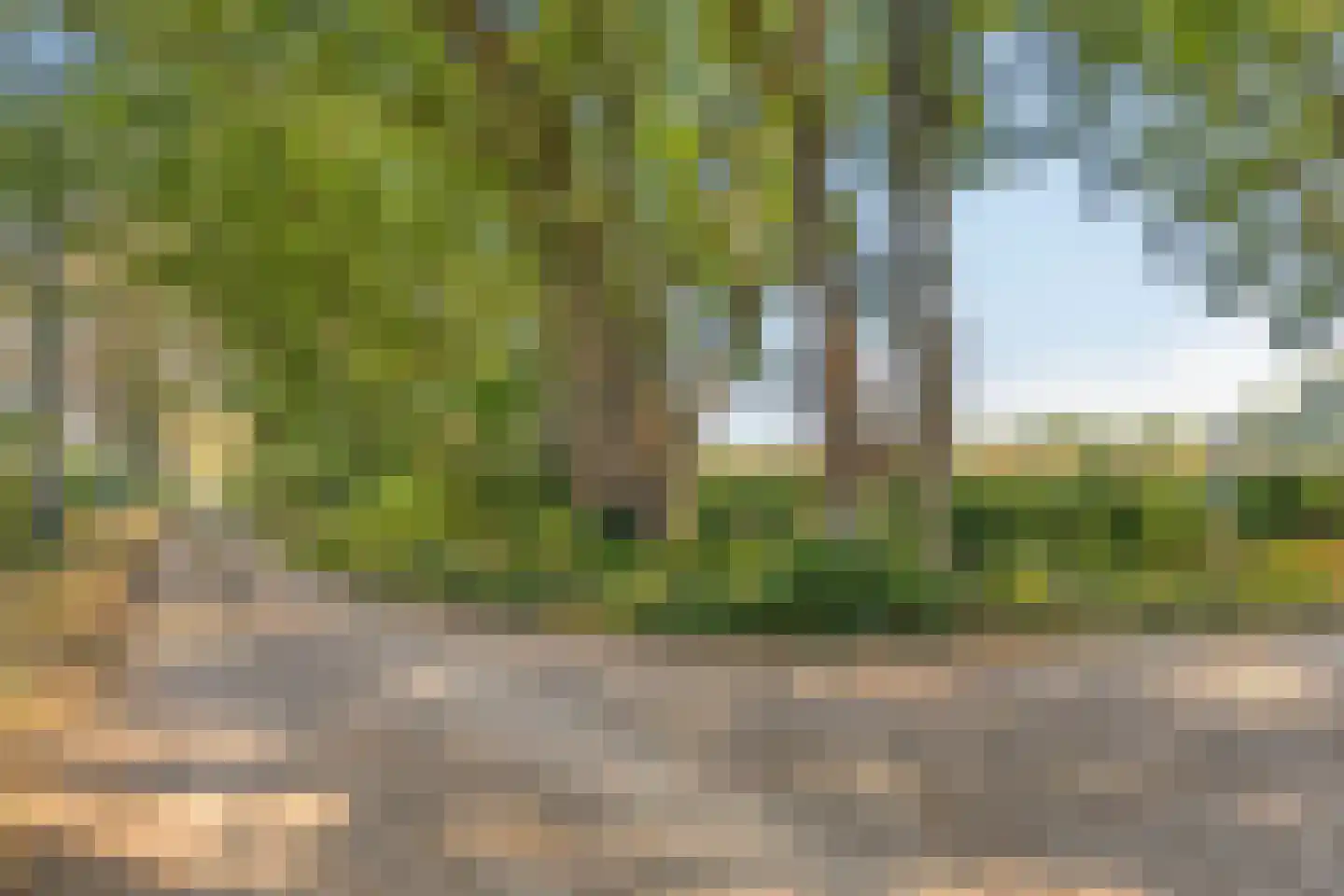 De Coevering 4 Veghel thumbnail 50