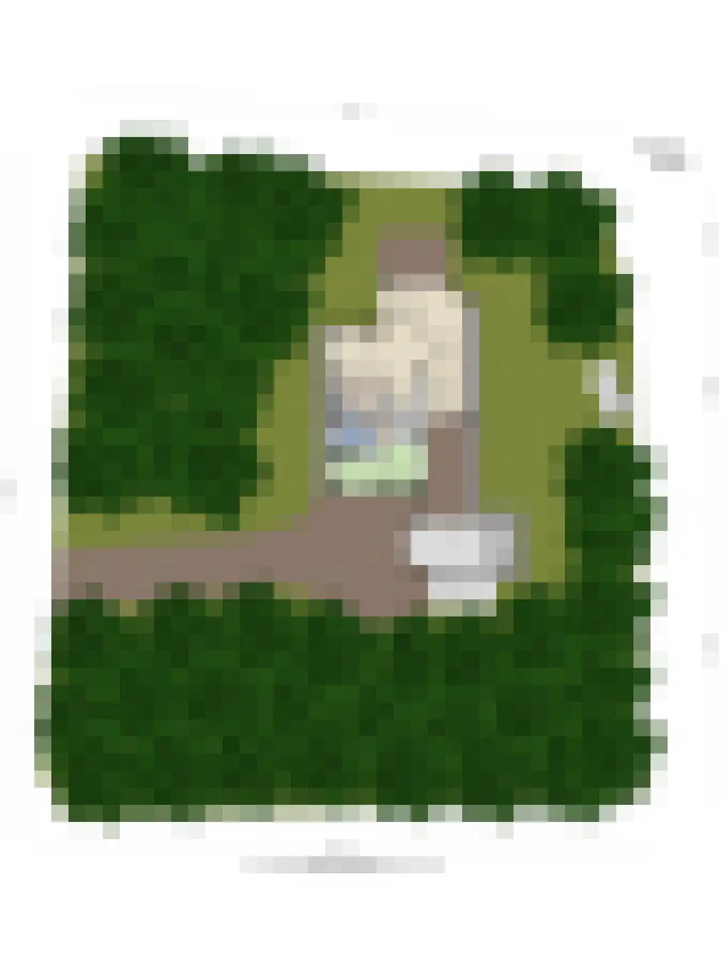 De Coevering 4 Veghel thumbnail 51