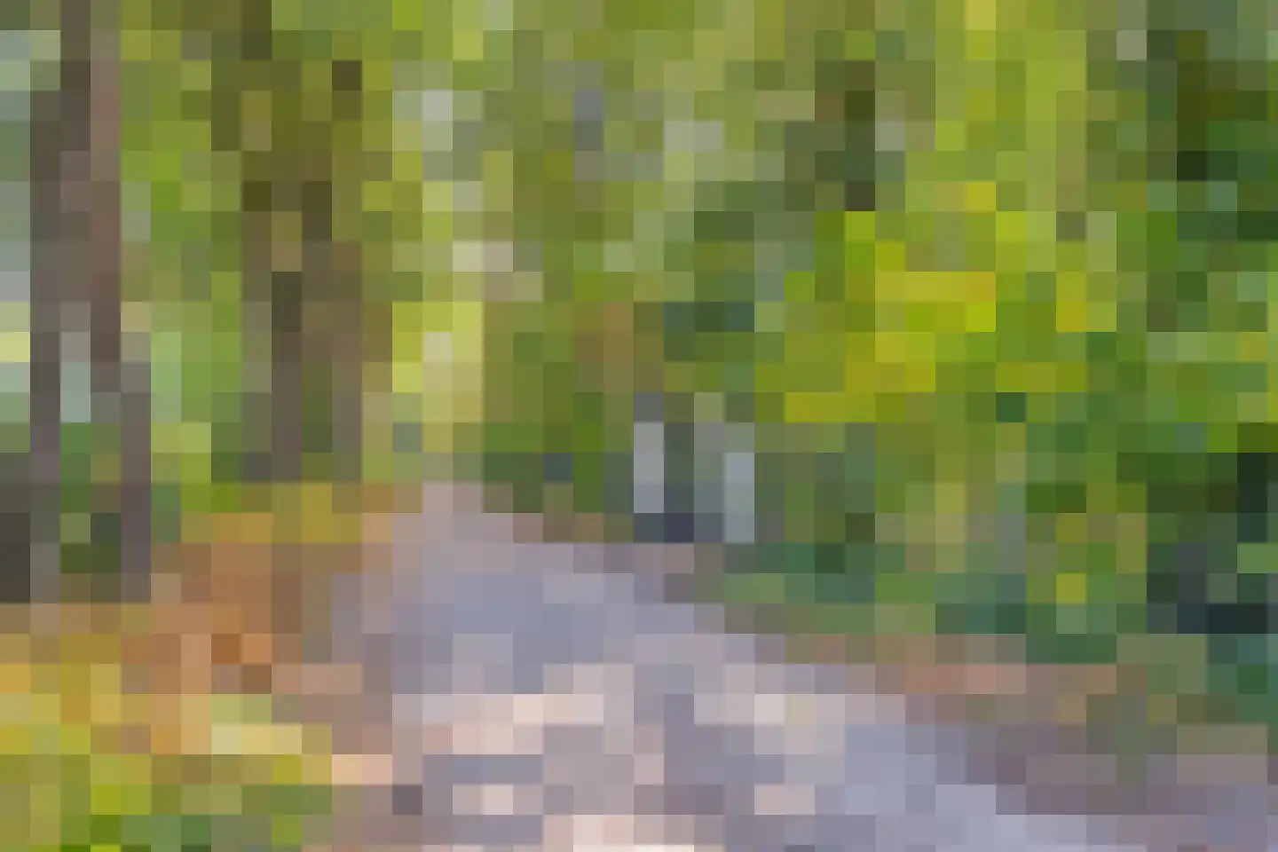De Coevering 4 Veghel thumbnail 6
