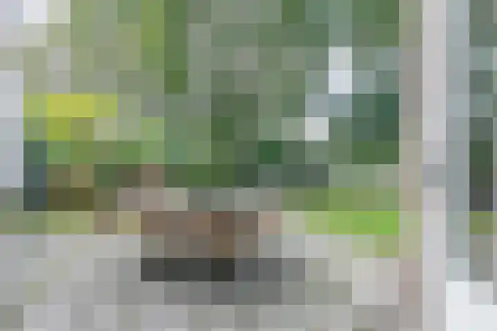 De Colignylaan 14 Soest thumbnail 33