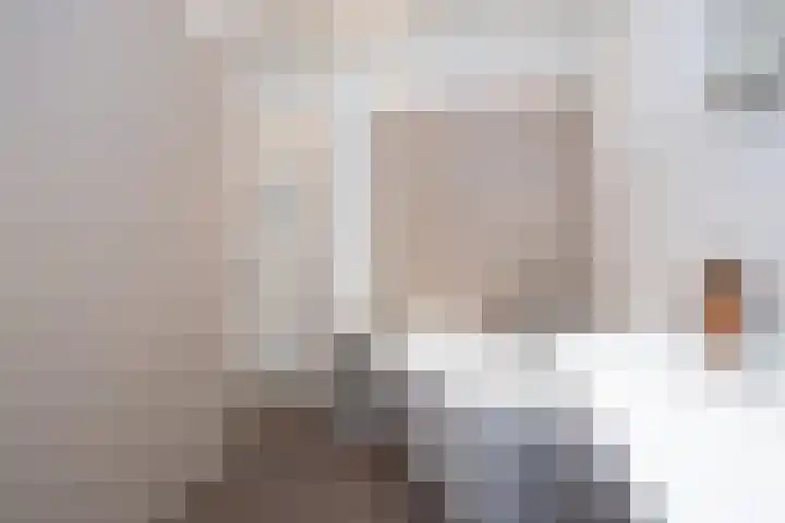 De Colignystraat 101 Delft thumbnail 34
