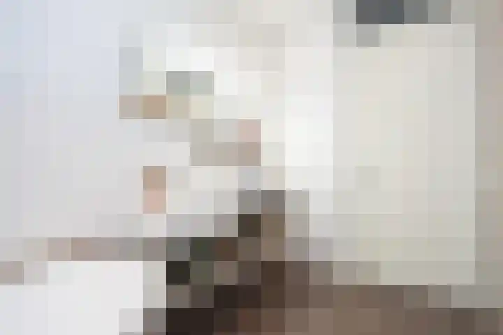 De Colignystraat 101 Delft thumbnail 35
