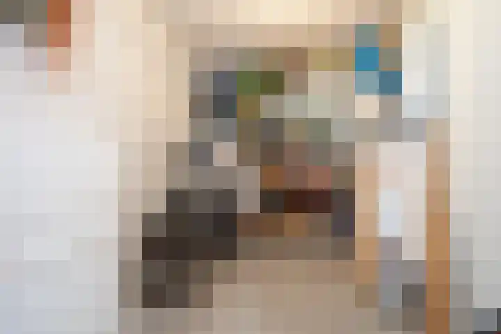 De Colignystraat 101 Delft thumbnail 40