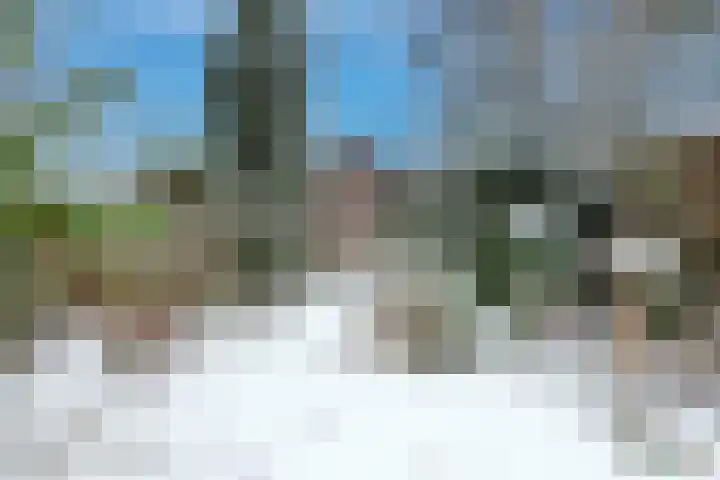 De Colignystraat 9 Apeldoorn thumbnail 13