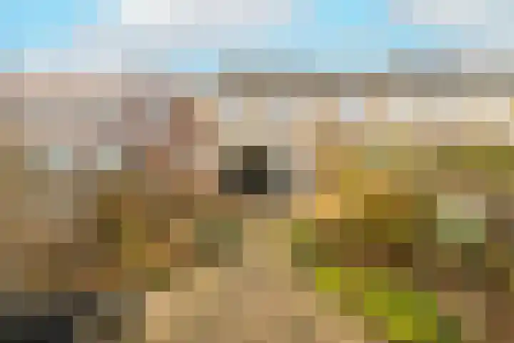De Colman 16 Wateringen thumbnail 43