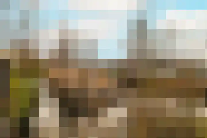 De Colman 16 Wateringen thumbnail 5