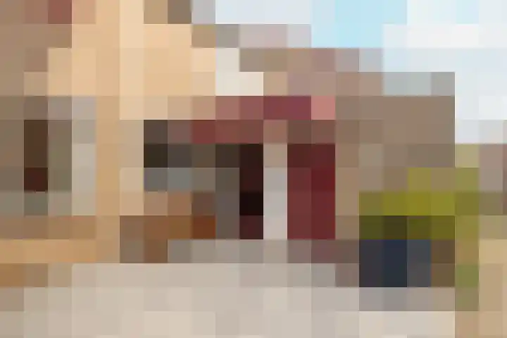 De Colman 16 Wateringen thumbnail 8