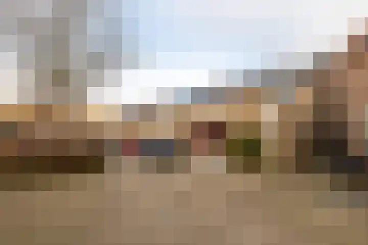 De Colman 16 Wateringen thumbnail 9