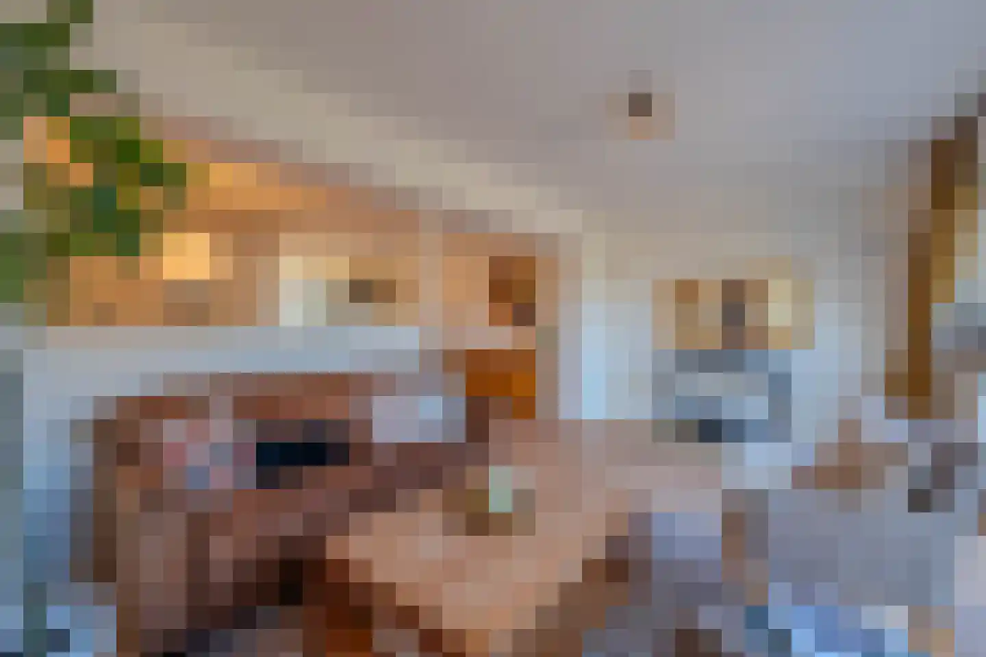 De Comert 33 Grubbenvorst thumbnail 14