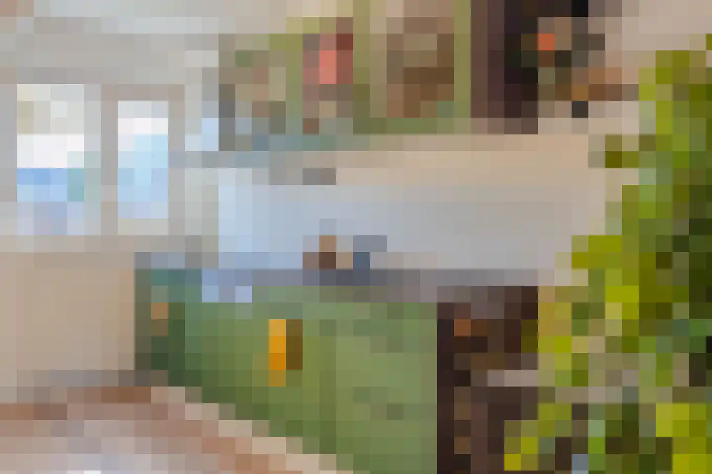 De Comert 33 Grubbenvorst thumbnail 23