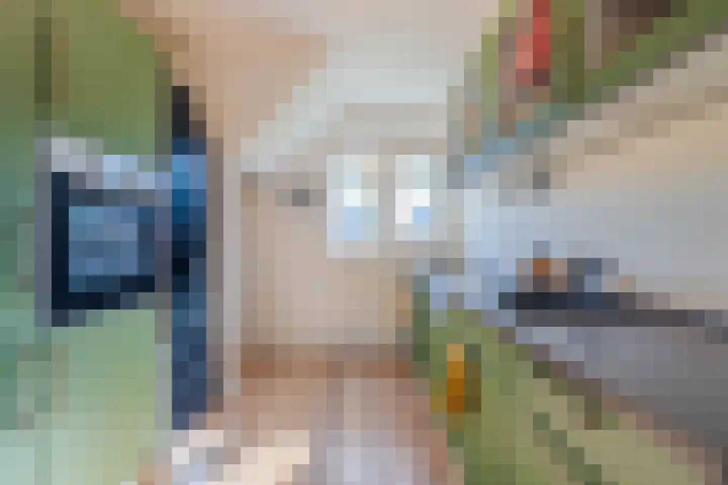 De Comert 33 Grubbenvorst thumbnail 25
