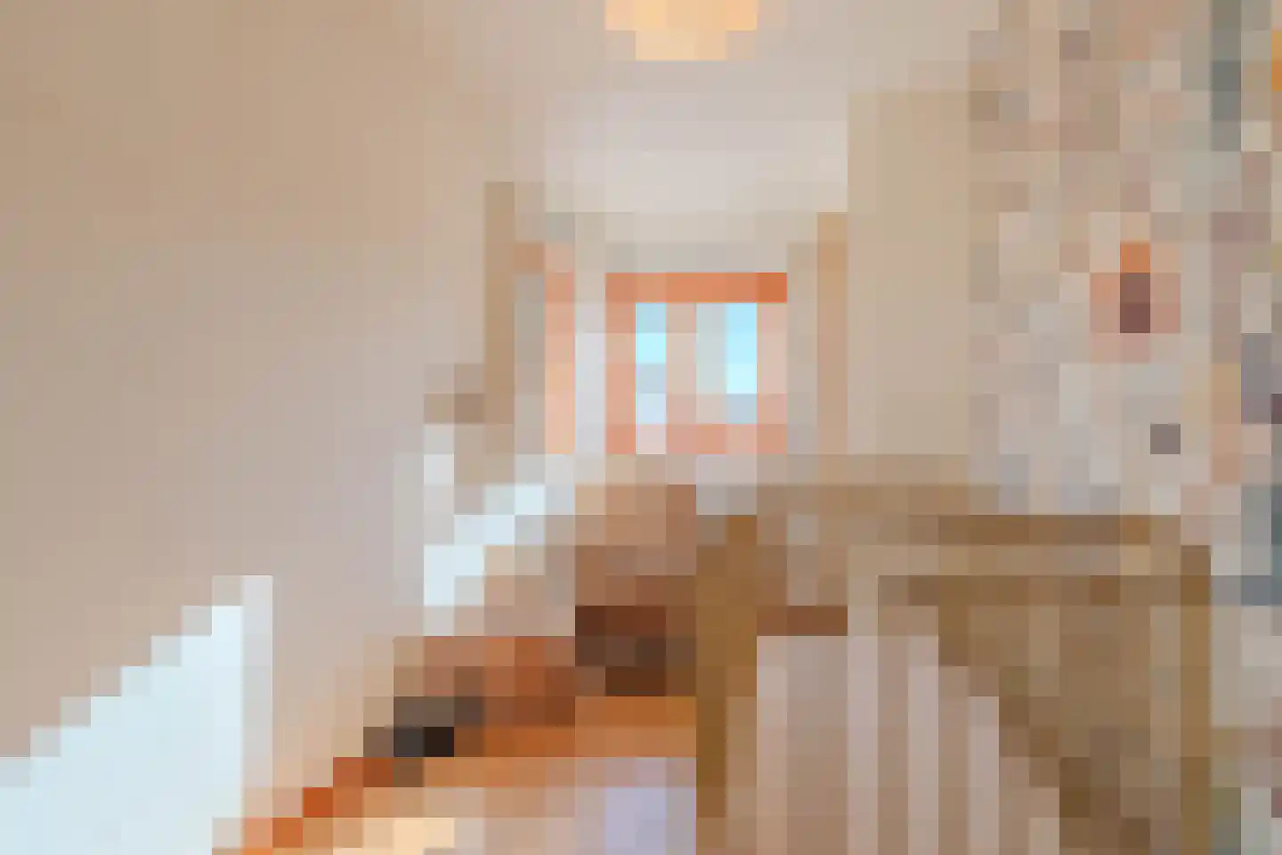 De Comert 33 Grubbenvorst thumbnail 34