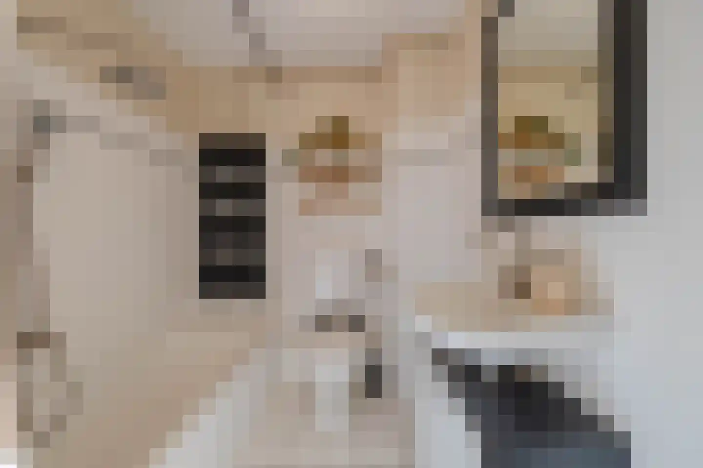 De Comert 33 Grubbenvorst thumbnail 36