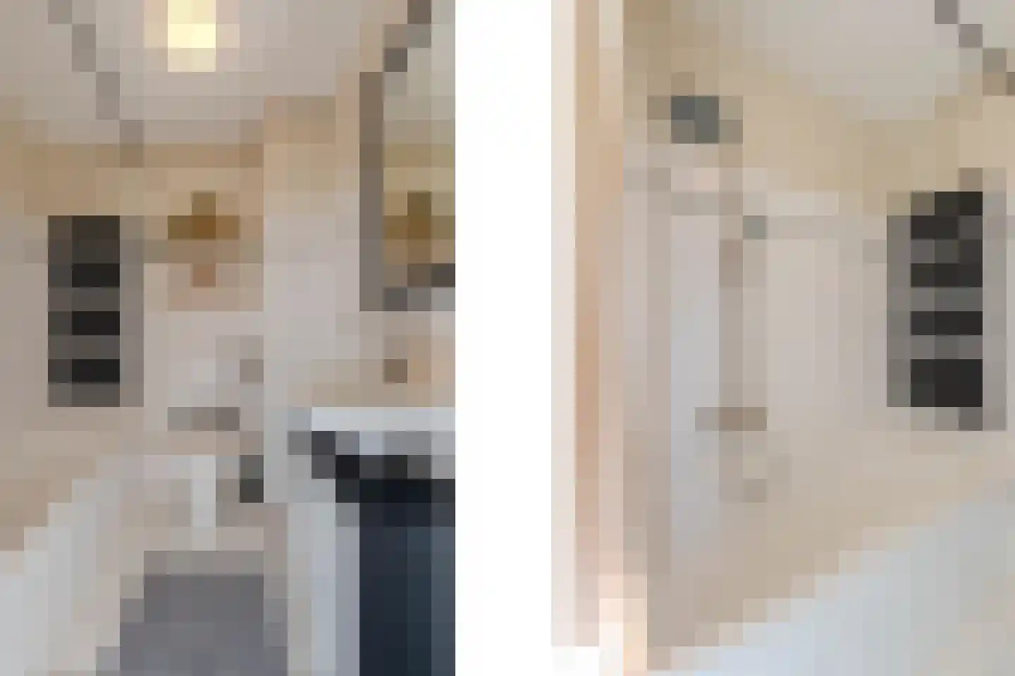 De Comert 33 Grubbenvorst thumbnail 37