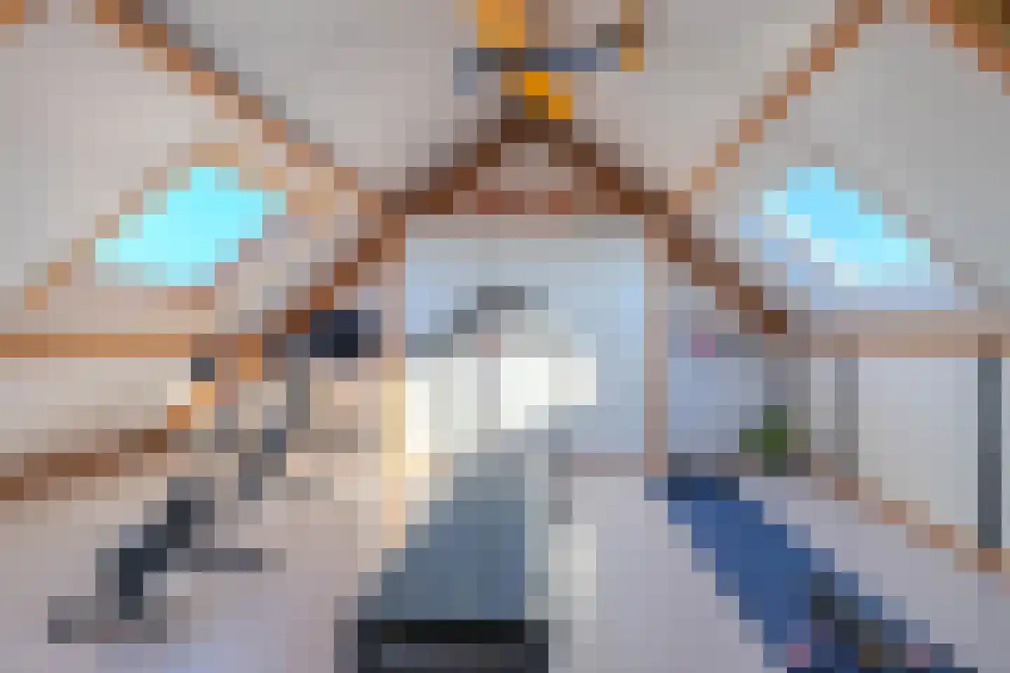 De Comert 33 Grubbenvorst thumbnail 39