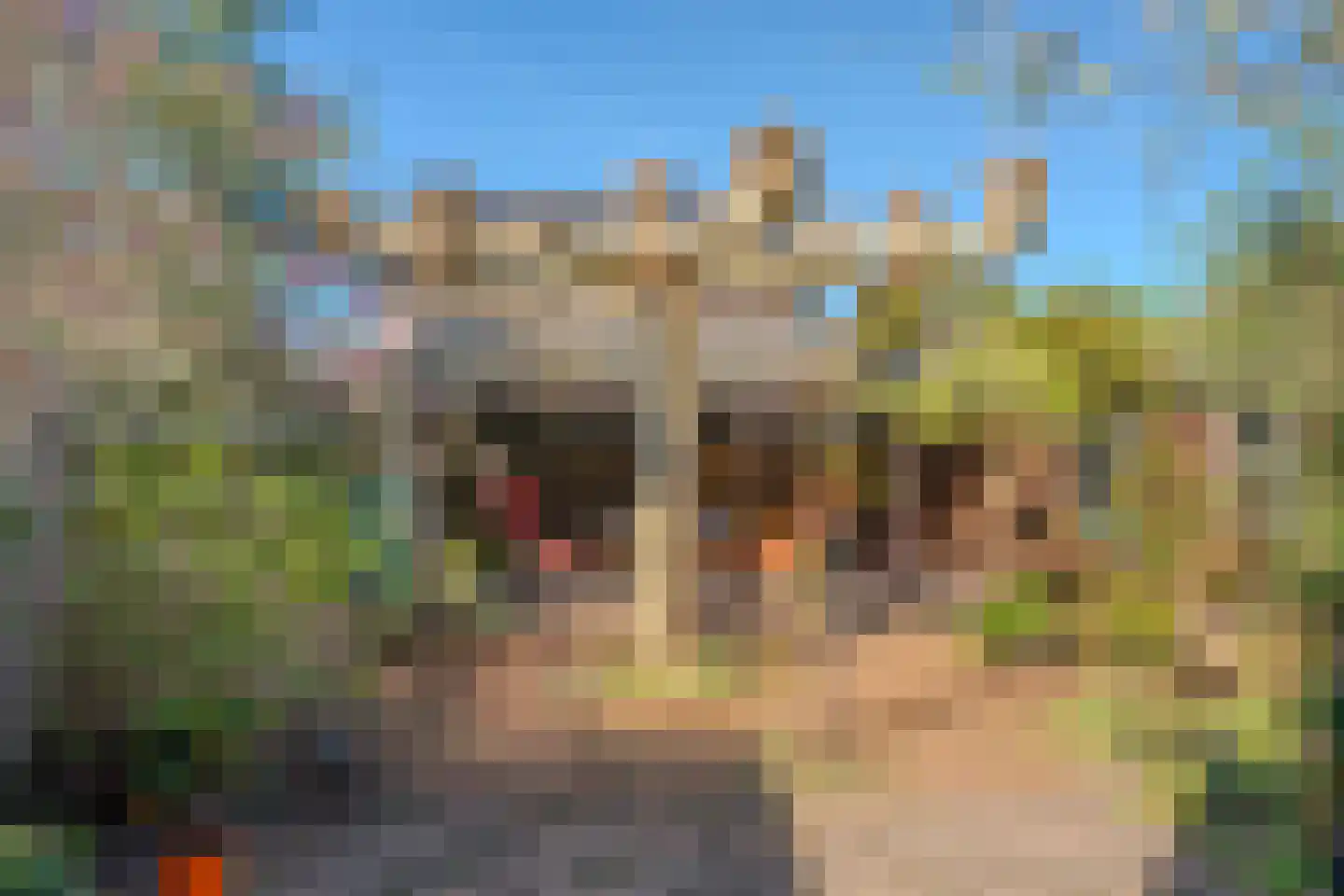 De Comert 33 Grubbenvorst thumbnail 42