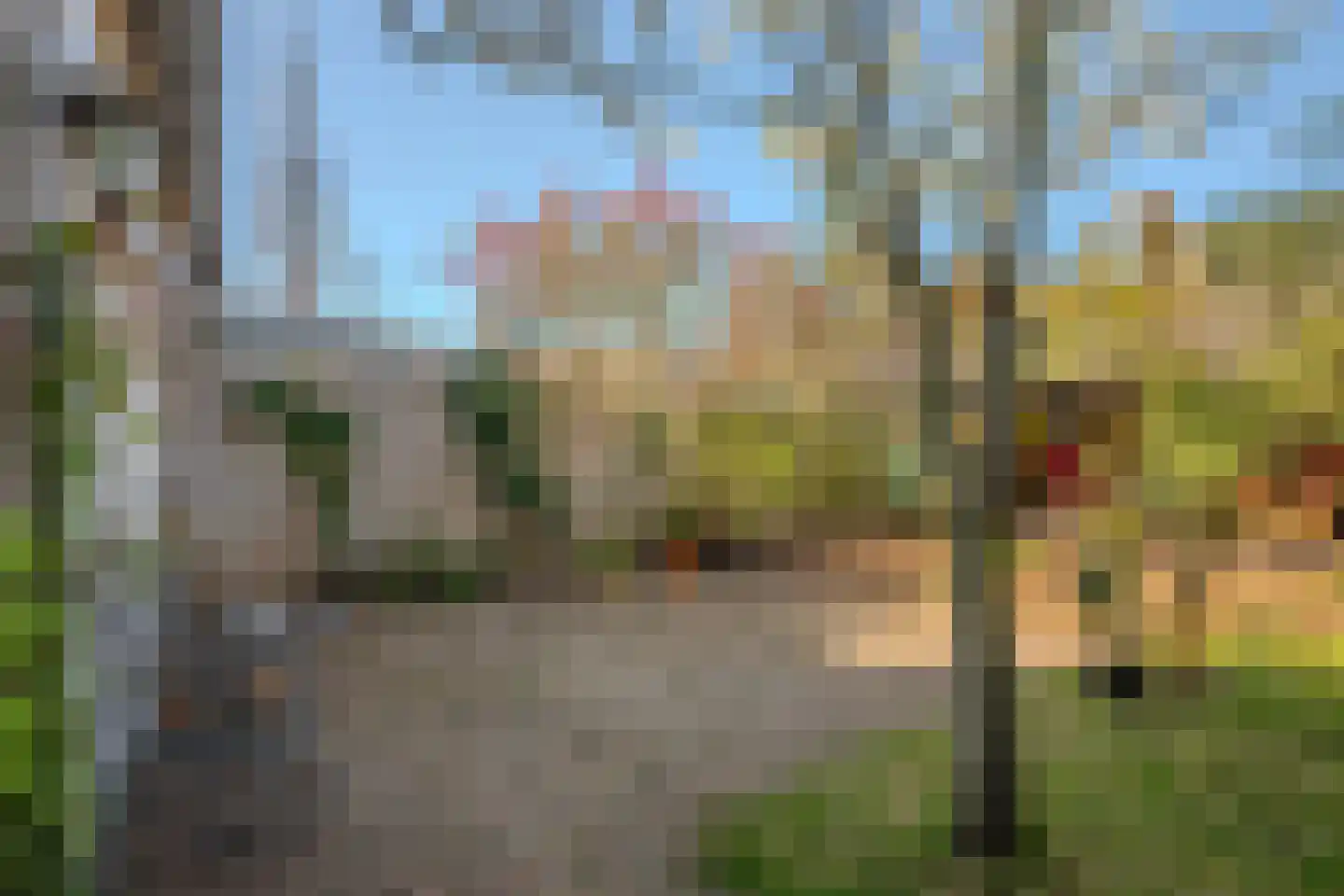 De Comert 33 Grubbenvorst thumbnail 5