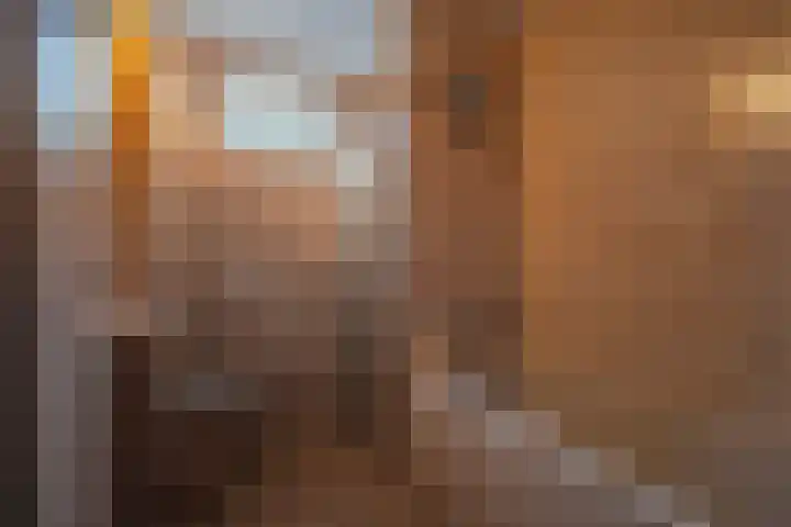 De Commanderie 31 Westervoort thumbnail 32