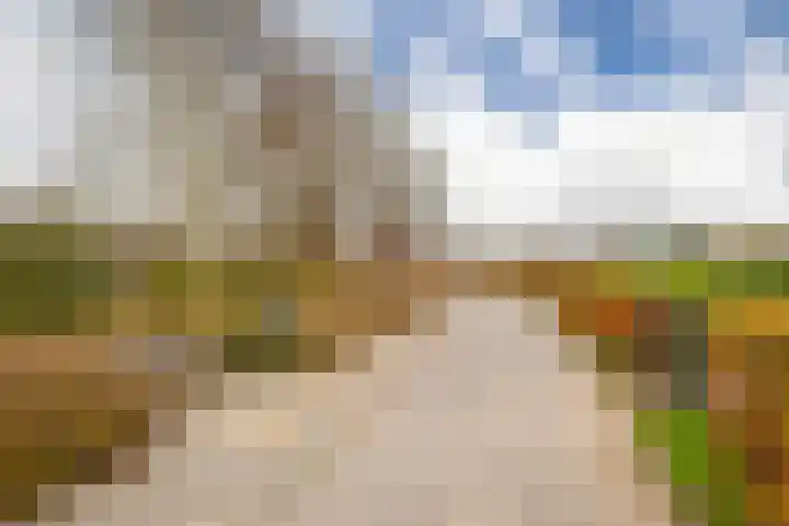 De Commanderie 31 Westervoort thumbnail 41