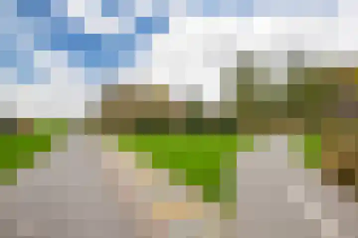 De Commanderie 31 Westervoort thumbnail 42