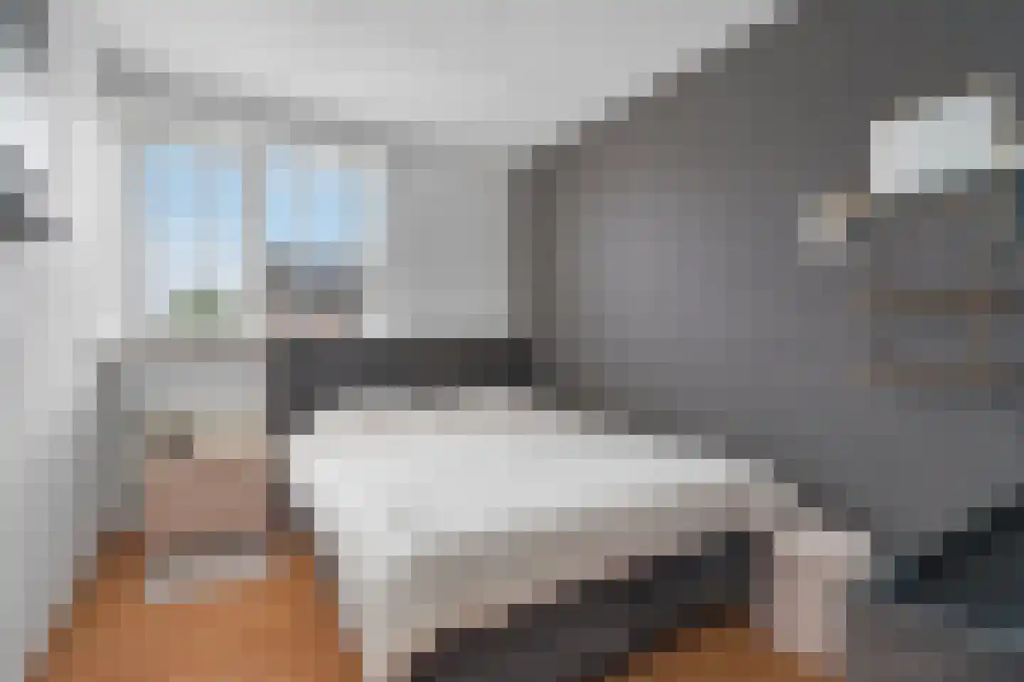 De Condor 60 Almelo thumbnail 14