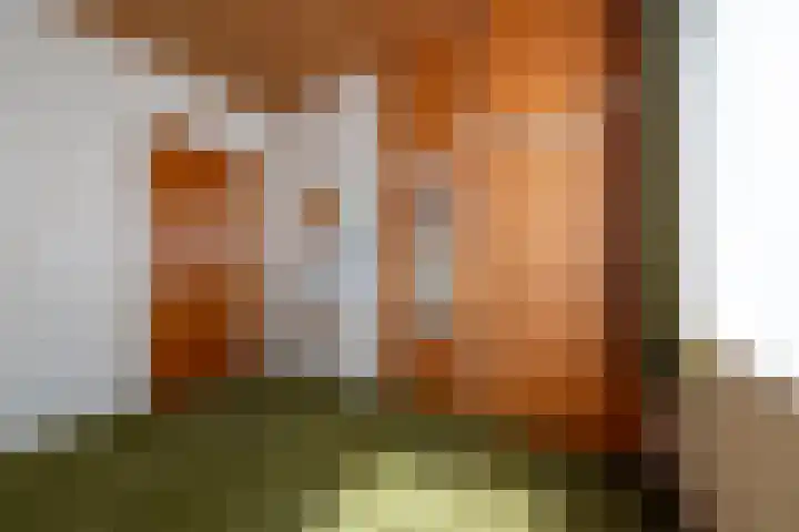 de Conincklaan 27 Peize thumbnail 16