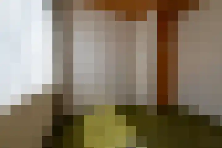 de Conincklaan 27 Peize thumbnail 18