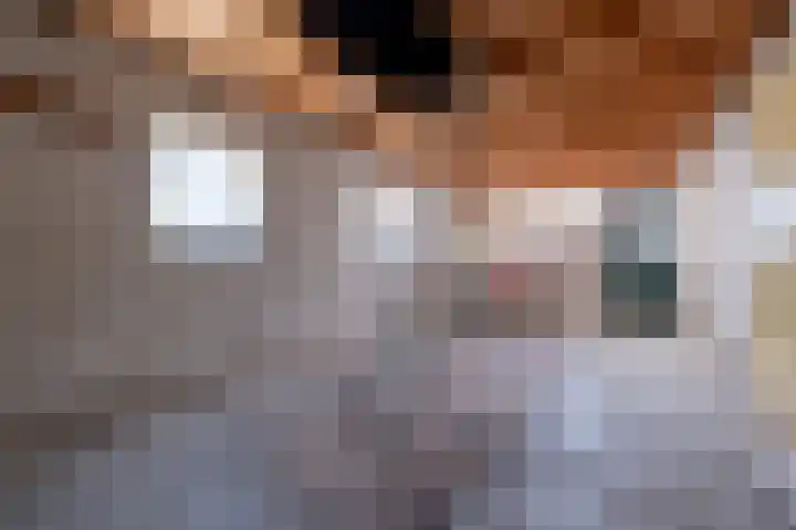 de Conincklaan 27 Peize thumbnail 32