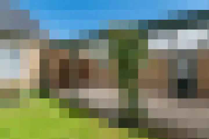 de Conincklaan 27 Peize thumbnail 43