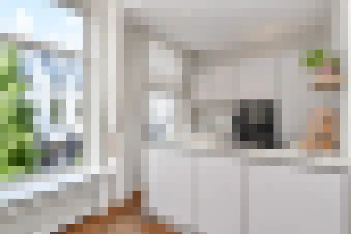 De Constant Rebecquestraat 11 Den Haag thumbnail 12