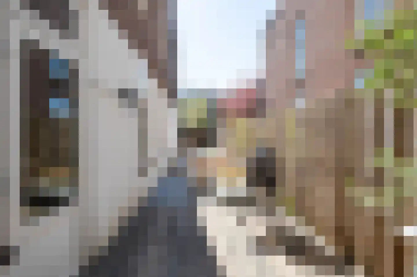 De Constant Rebecquestraat 60 Den Haag thumbnail 22