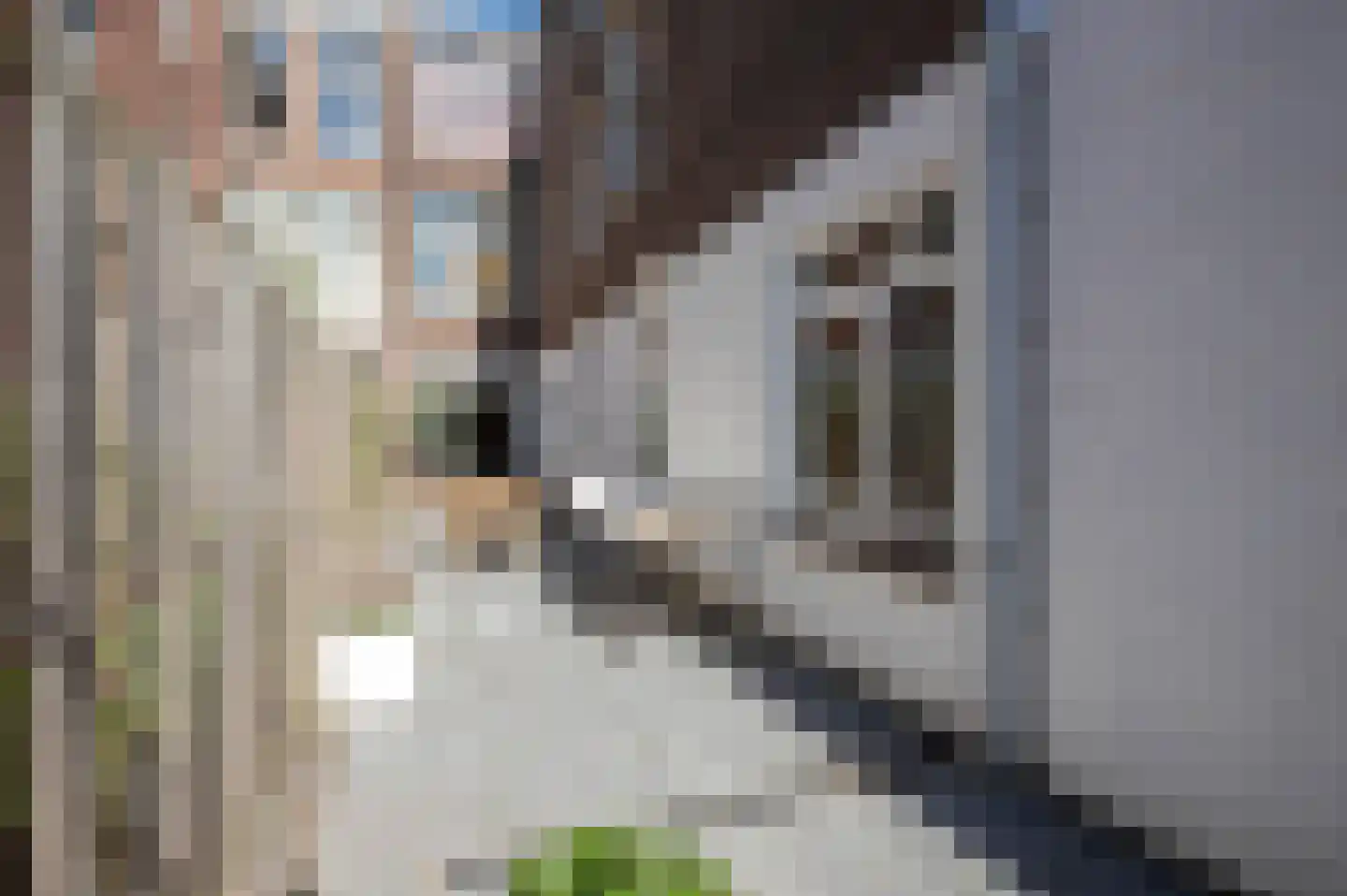 De Constant Rebecquestraat 60 Den Haag thumbnail 26
