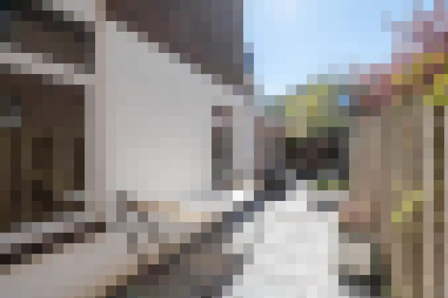 De Constant Rebecquestraat 60 Den Haag thumbnail 27