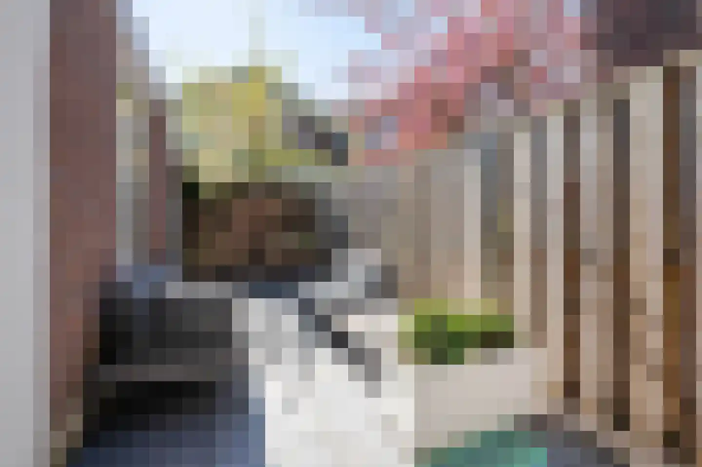 De Constant Rebecquestraat 60 Den Haag thumbnail 29