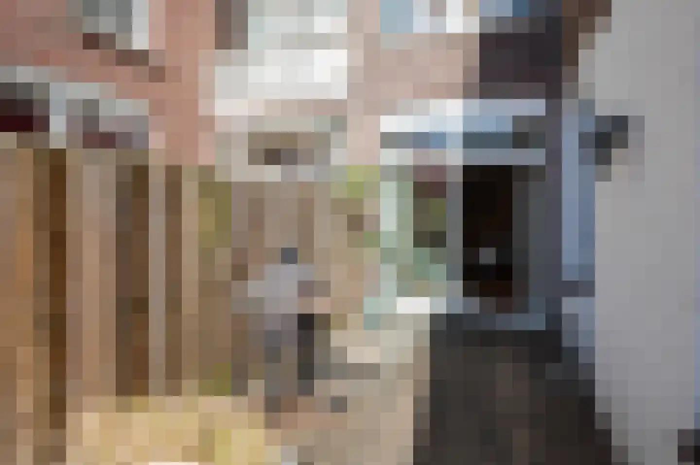 De Constant Rebecquestraat 60 Den Haag thumbnail 32