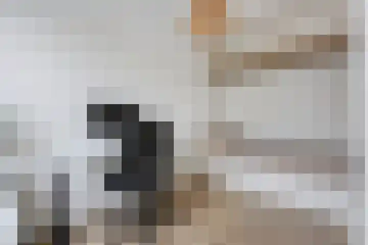 De Constant Rebecquestraat 8 Den Haag thumbnail 17