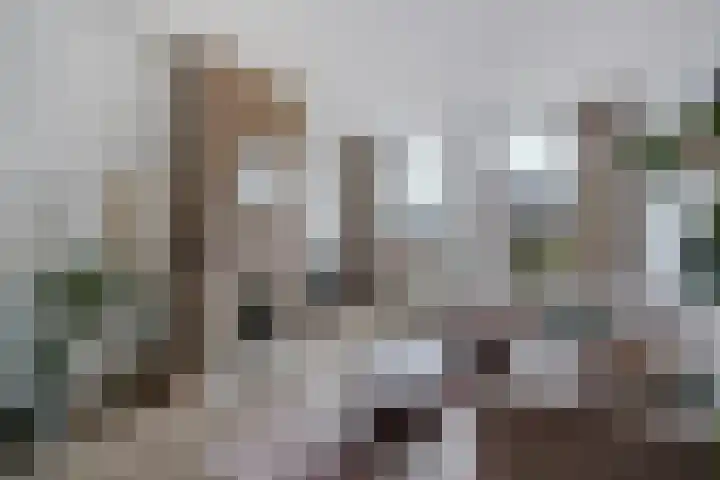 De Constant Rebecquestraat 8 Den Haag thumbnail 6
