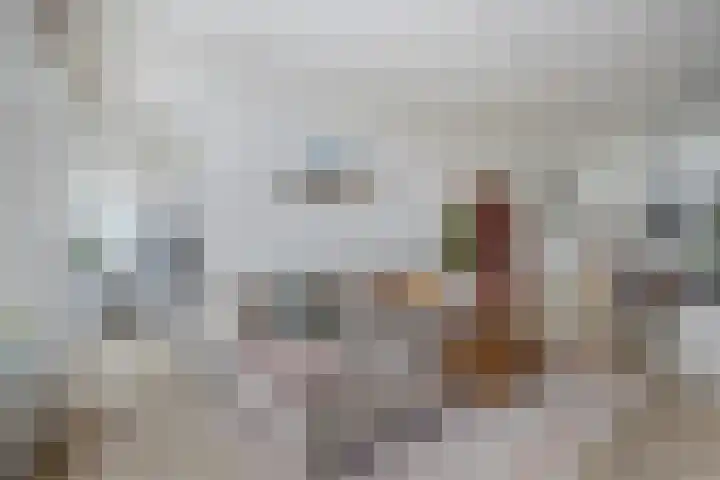 De Constant Rebecquestraat 8 Den Haag thumbnail 9